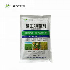 地衣芽孢杆菌养殖饲料添加生物净水益生菌改善养殖畜禽肠道环境