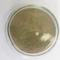 復合功能菌解磷解鉀固固營養型 1