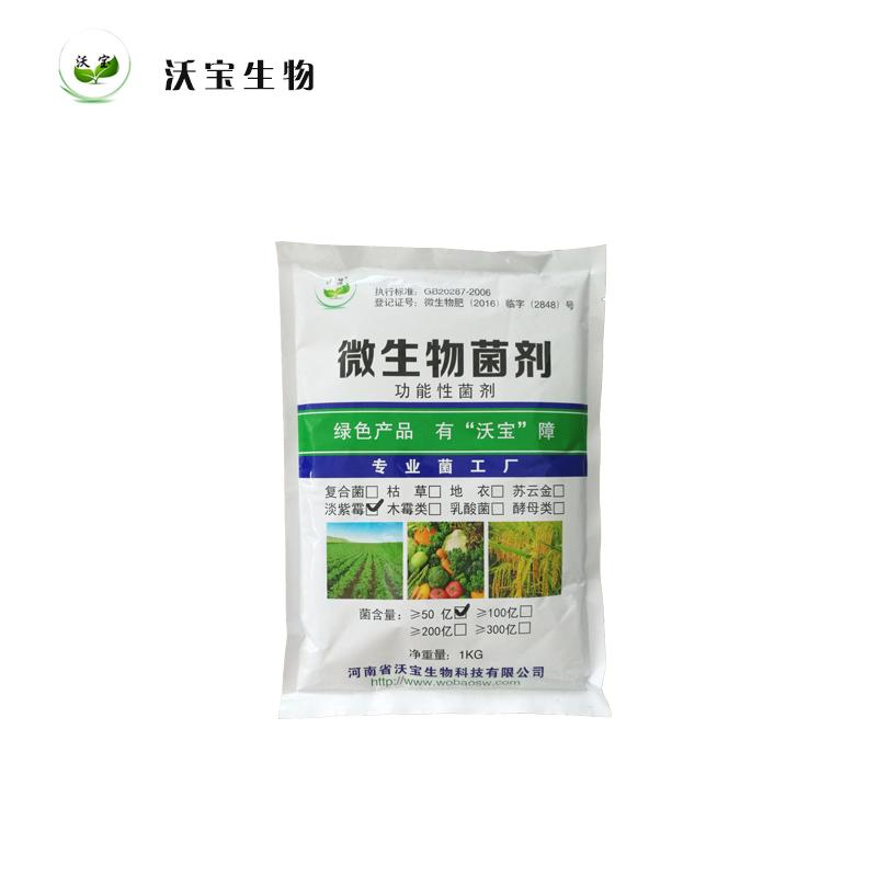 沃宝淡紫拟青霉防治线虫病害