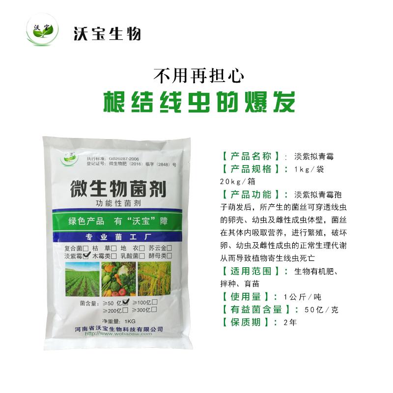 沃宝淡紫拟青霉防治线虫病害 2