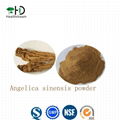 Chinese Angelica sinensis powder