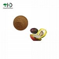 African mango seed extract, African mango seed powder 1