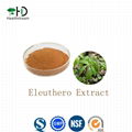 Siberian Ginseng Extract 1