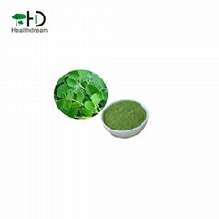 Moringa leaf powder