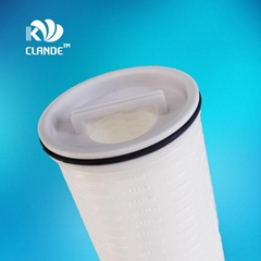 CLANDE high flow wate fitler Replace PALL filter element