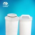 CLANDE F Series Replace PHOSPHOR water filter element