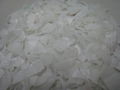 HDPE Regrind Flakes from Milk Bottles 1