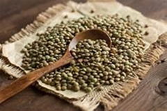 Canadian Green Lentils