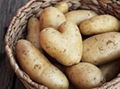 Fresh Potatoes 1