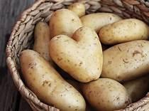 Fresh Potatoes