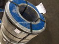 Hot dip galvanized steel coil 1