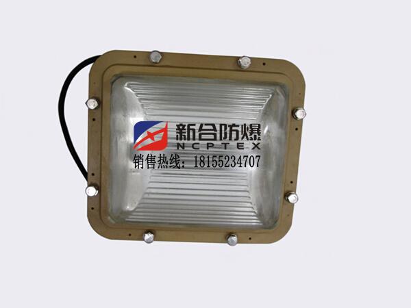 粉尘车间专用新合防爆无极灯大小订制 3