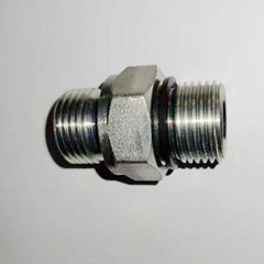 Hydraulic fitting BSP male double use