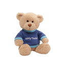 Custom 20cm teddy bear in T-shirt