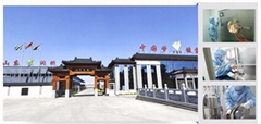 Shandong Runxin Biotechnology Co., Ltd Shandong Runxin Biotechnology Co., Ltd