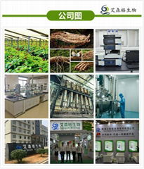 Wuhu Acegem Biological Technology Co.,Ltd