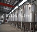 HT10 Conical Stainless Steel Brewery Beer Fermentation Tank Equipment  4