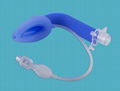 Laryngeal Mask Airway