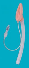 Laryngeal Mask Airway