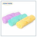 Microfiber Coral Fleece Towel 5