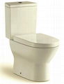 Two pieces toilet for building project
