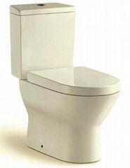 Two pieces toilet for building project apartment villa hotel office construction