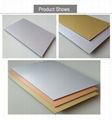 Building Facade Aluminum Composite Panel ACP 3