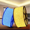 LED holiday Lamp belt 1