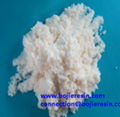 Blood purification resin  1