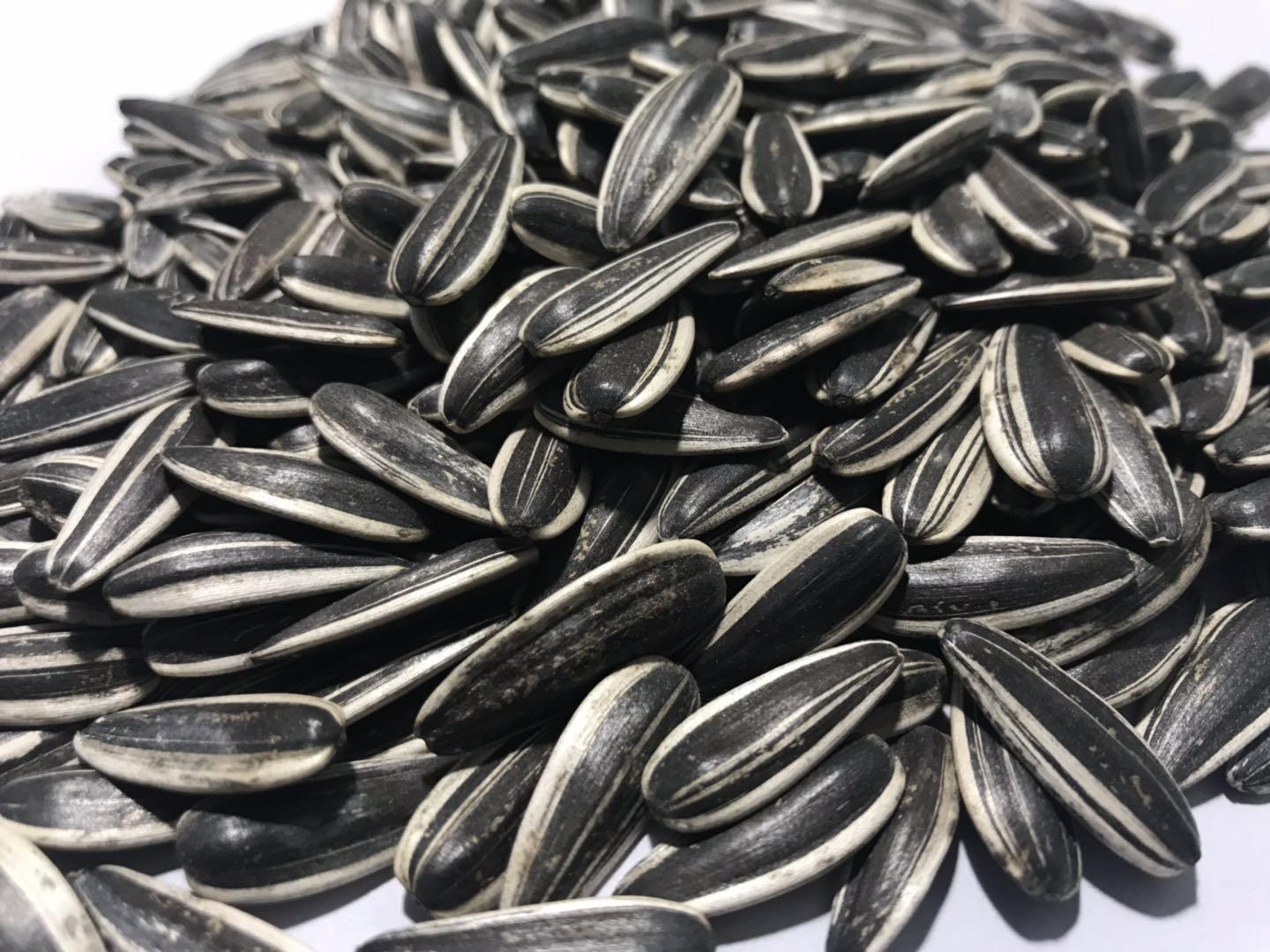 2018 new crop sunflower seed (China Manufacturer) Agriculture Product