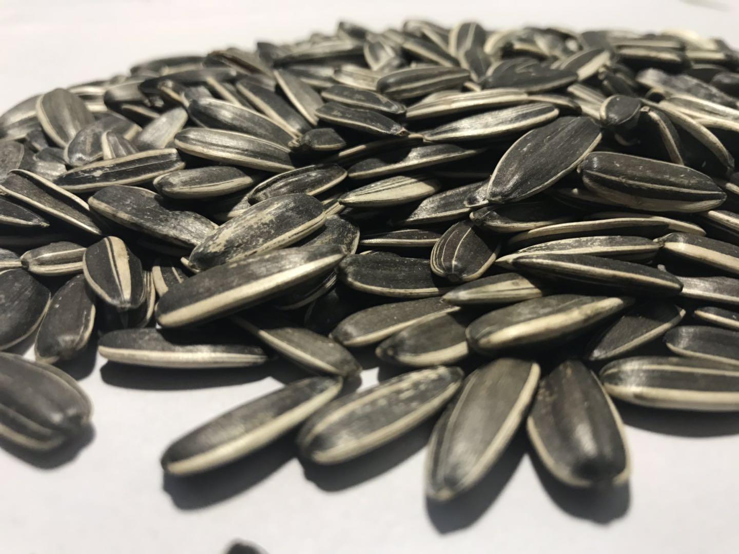 2018 new crop sunflower seed (China Manufacturer) Agriculture Product