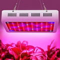 2018 OFF promotions! Led Grow Light 300w Full Spectrum Led Grow Lights