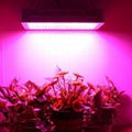 Hydroponic Full Spectrum 1500W Panel LED