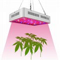 Full Spectrum LED Grow Lights 1000watts