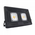 Professional After-Sales Service Warm White Vanq 100W Led Grow Light 2