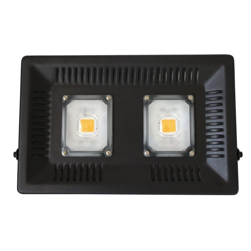 Professional After-Sales Service Warm White Vanq 100W Led Grow Light 3