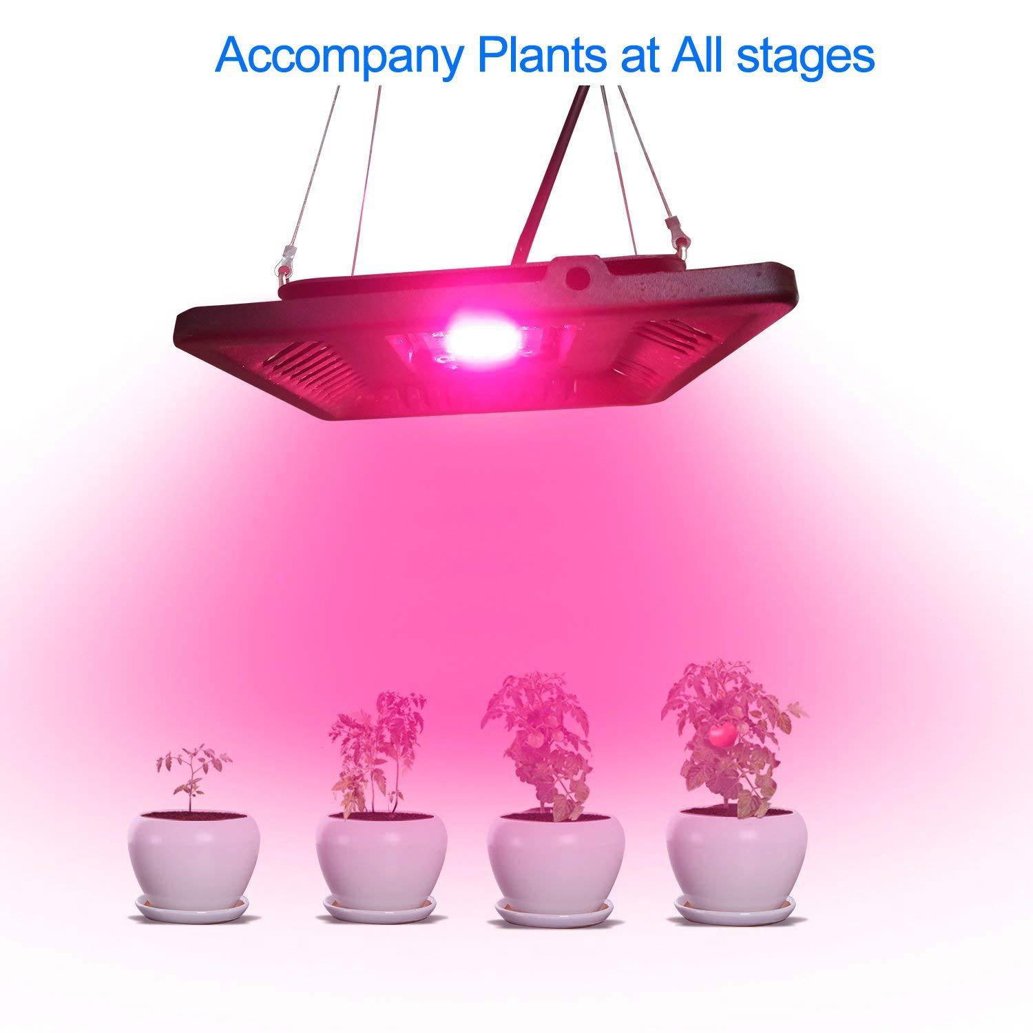 Professional After-Sales Service Warm White Vanq 100W Led Grow Light