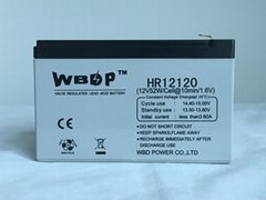 免维护铅酸蓄电池12V12AH