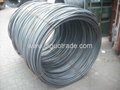 Steel wire rod 2