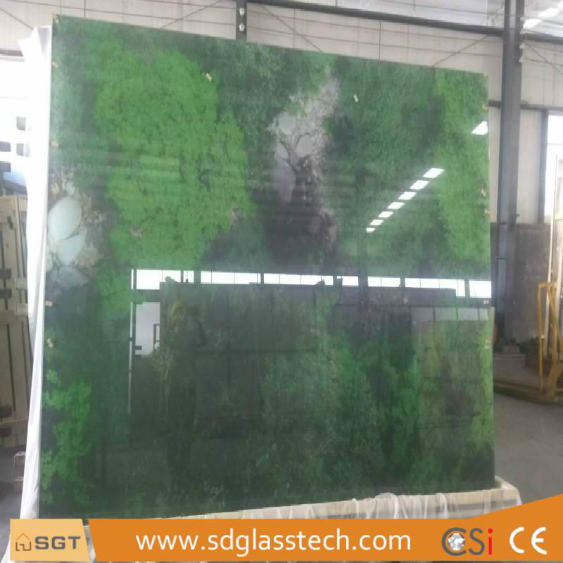 Low Iron Tempered Digital Printing Glass