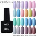 Factory OEM ODM Perfect Color LED soak off UV Gel Polish 1