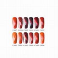 new arrival free sample Cat Eye UV gel nail polish wholesale ODM/OEM 1