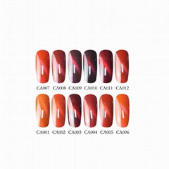 new arrival free sample Cat Eye UV gel nail polish wholesale ODM/OEM