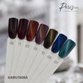 new arrival free sample Cat Eye UV gel nail polish wholesale ODM/OEM 4