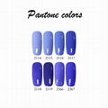 Free Sample Private Label Pantone 1900+ Color UV Gel Nail Polish OEM/ODM 3