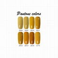 Free Sample Private Label Pantone 1900+ Color UV Gel Nail Polish OEM/ODM 5