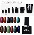 Wholesale Cheap Gel Nail Polish Free Sample Nail Polish For Nail Decoration 2