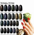 Wholesale Cheap Gel Nail Polish Free Sample Nail Polish For Nail Decoration 3