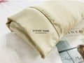 22mm mulberry Silk Pillowcase with high quality No MOQ 2