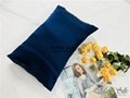 22mm mulberry Silk Pillowcase with high quality No MOQ 3